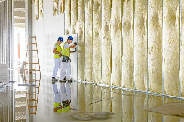 Best Commercial Insulation in Hebron, IL